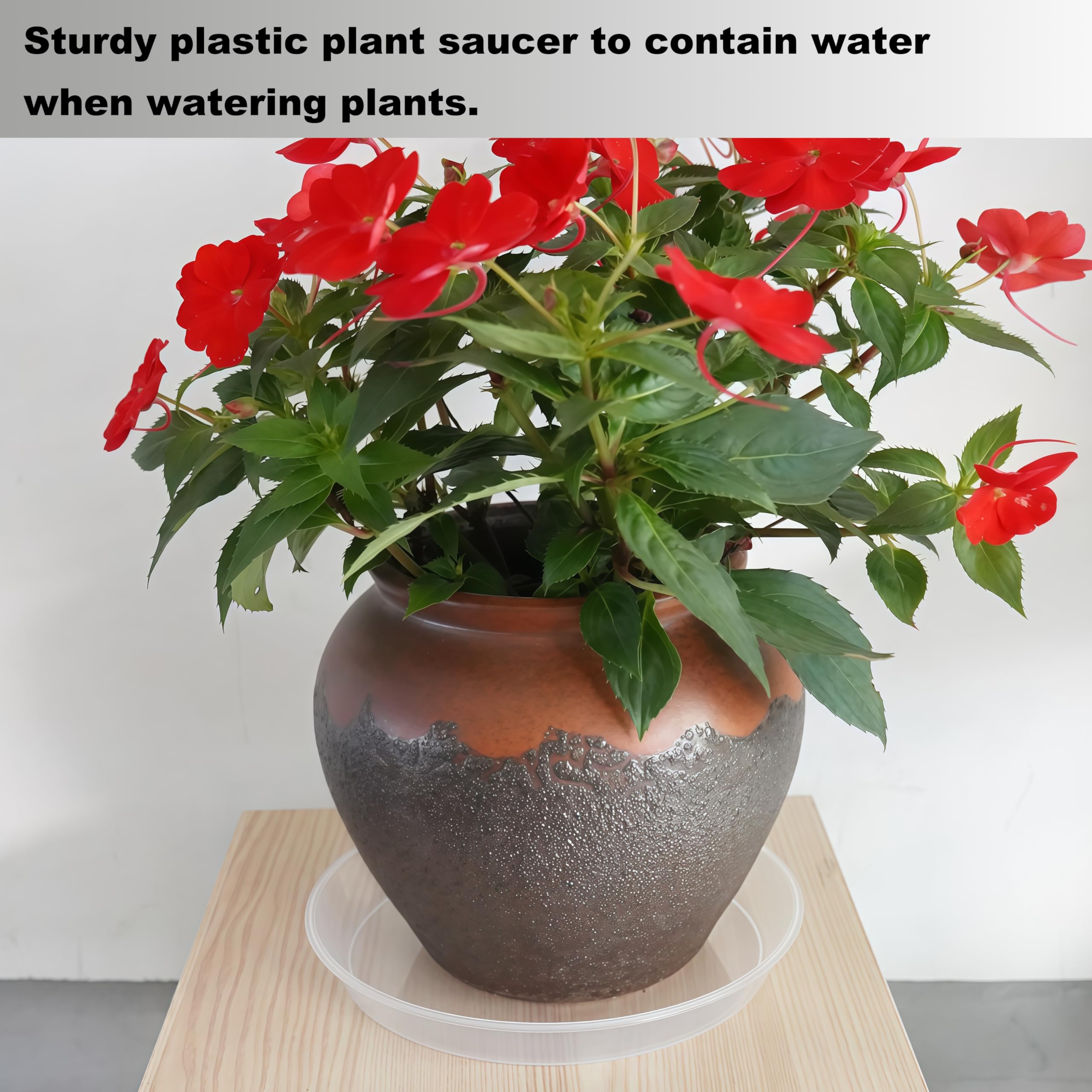 LWALRS etiqueta BPA-free destacando material seguro y resistente