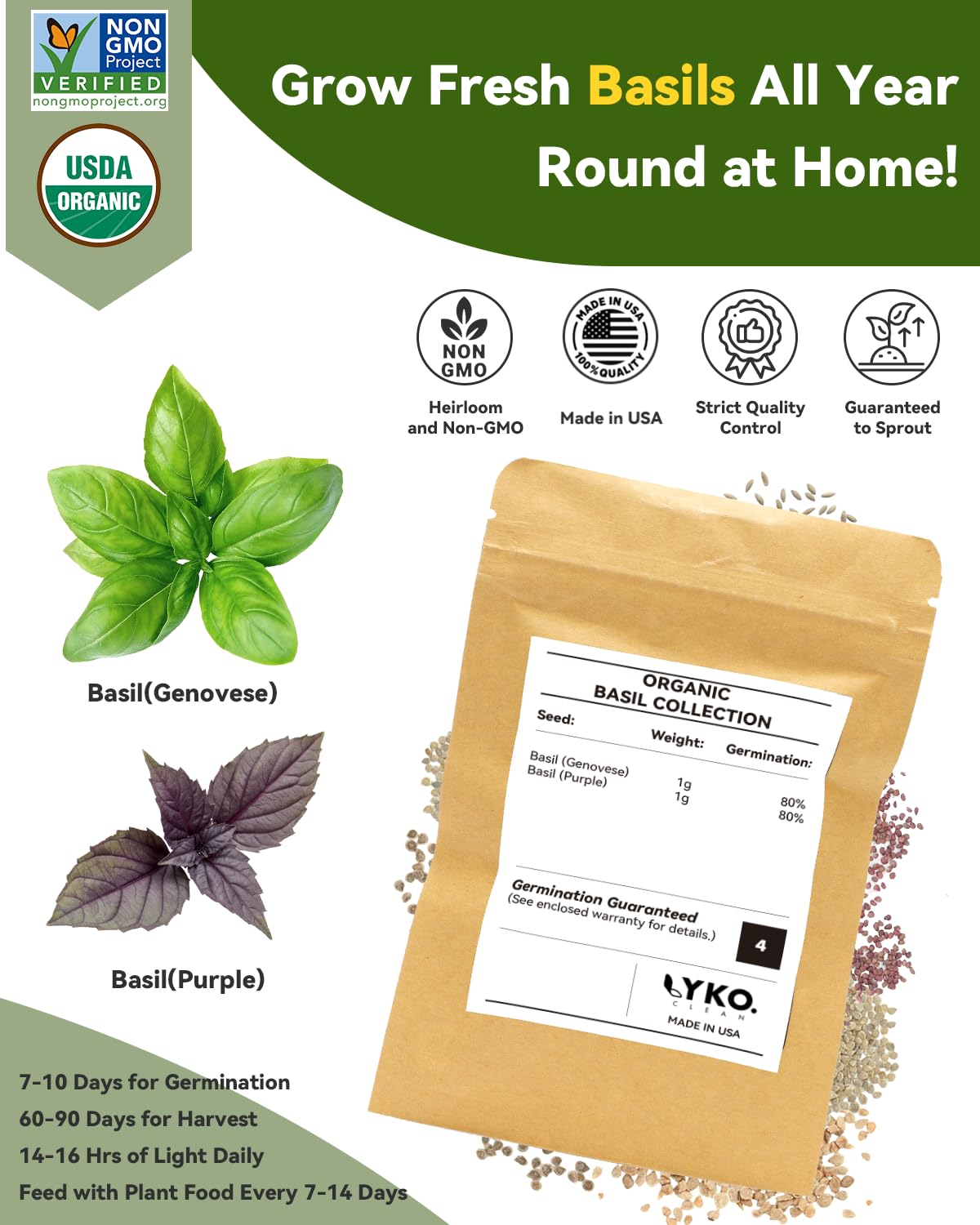 LYKOCLEAN semillas Heirloom de albahaca Genovese y Purple Ruffles, garantía de sabor
