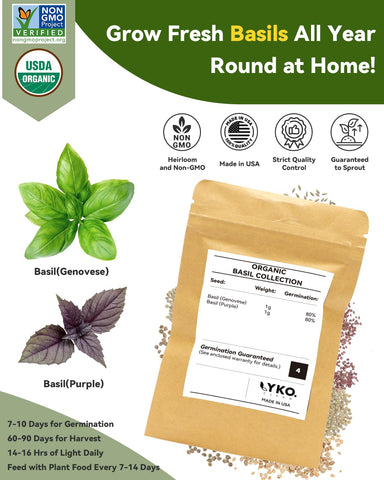 LYKOCLEAN semillas Heirloom de albahaca Genovese y Purple Ruffles, garantía de sabor