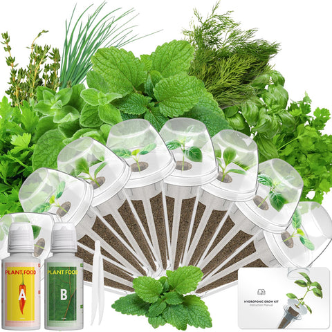 LYKOCLEAN kit frontal mostrando pods y envases beneficioso para empezar cultivo