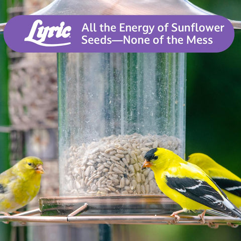 Lyric comedero en jardín con plantas, aspecto natural y atractivo para aves