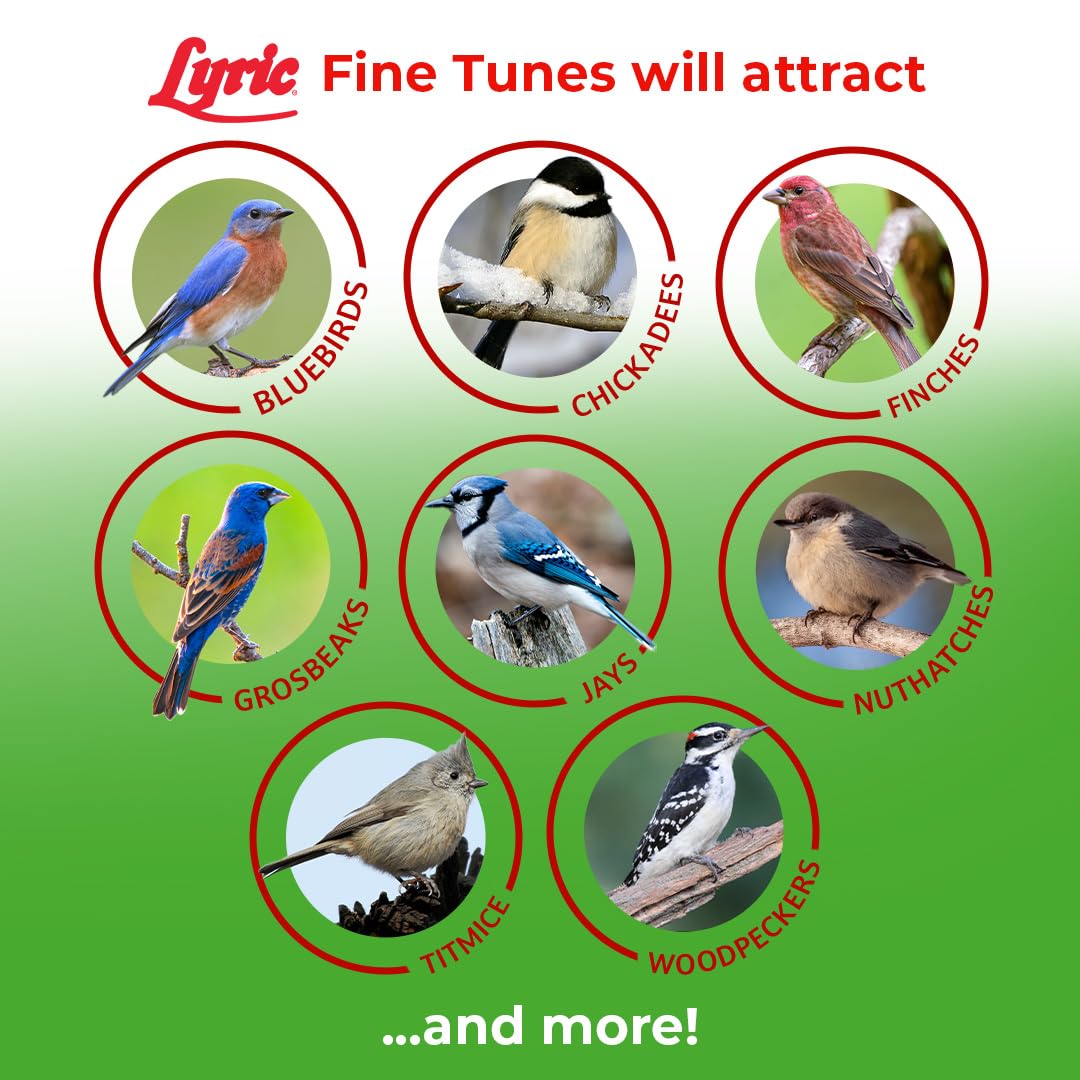 Lyric Fine Tunes en bandeja con cardenal y carbonero alimentándose