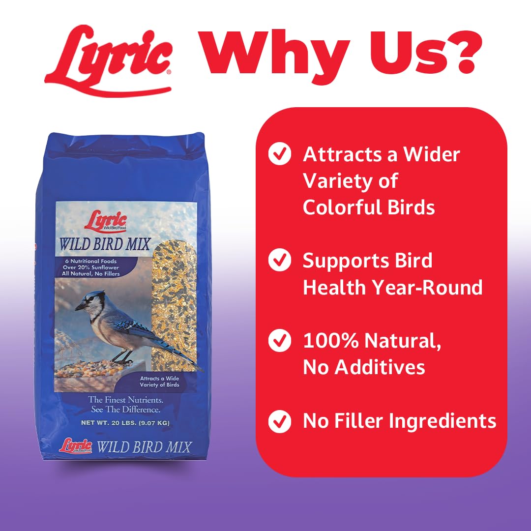 Lyric mezcla servida en bandeja de comedero, accesible para aves
