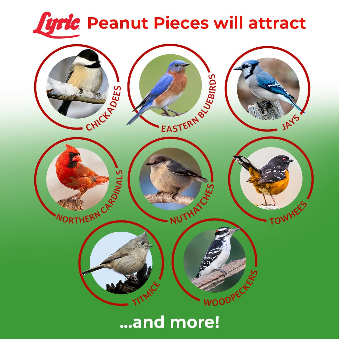 Lyric comedero tubular relleno con trozos, facilita acceso a aves pequeñas