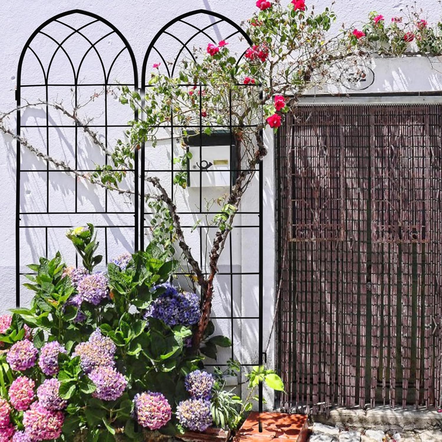 LZRS escena de jardín con arco integrando enredaderas y flores