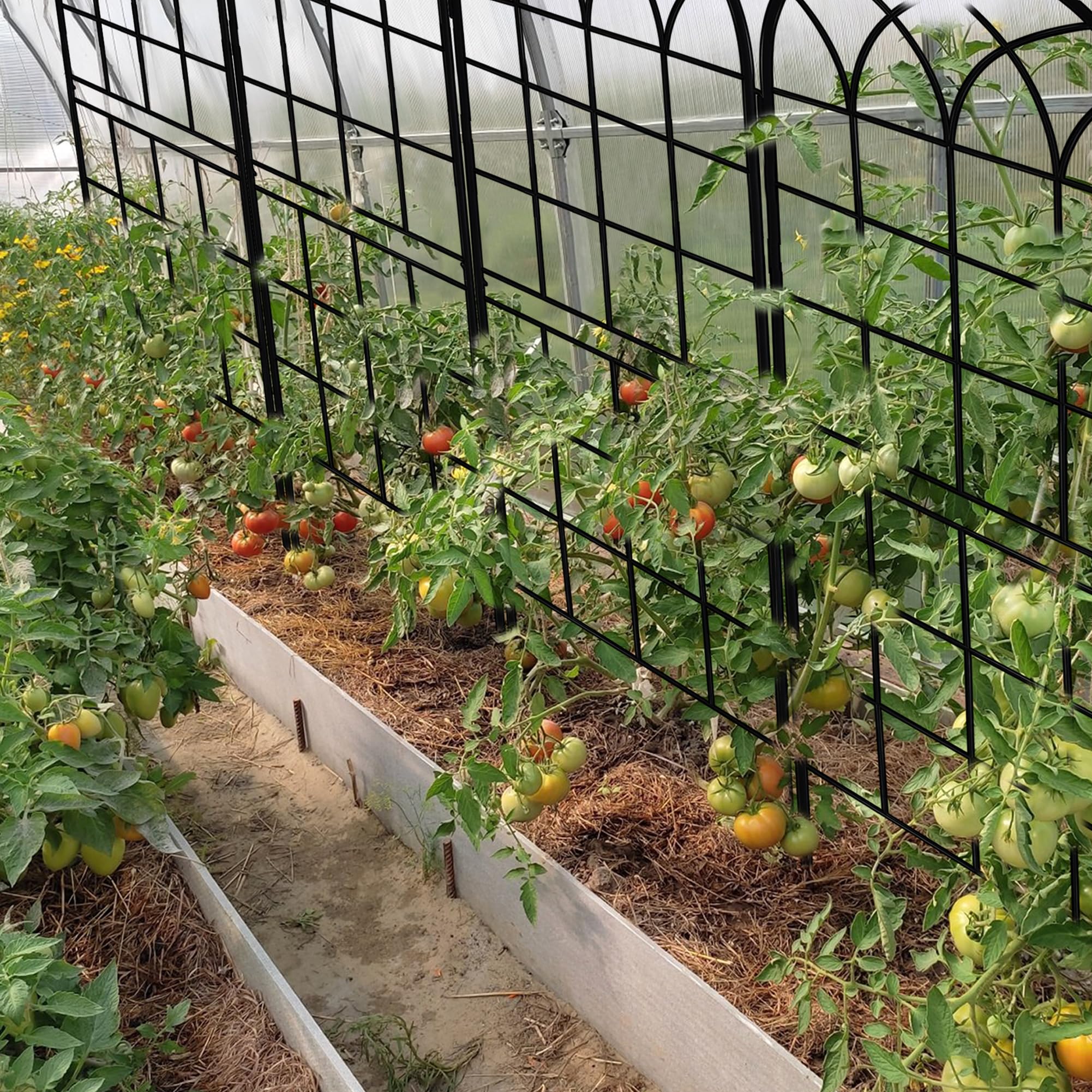 LZRS conjunto instalado entre macetas mejorando el cultivo vertical