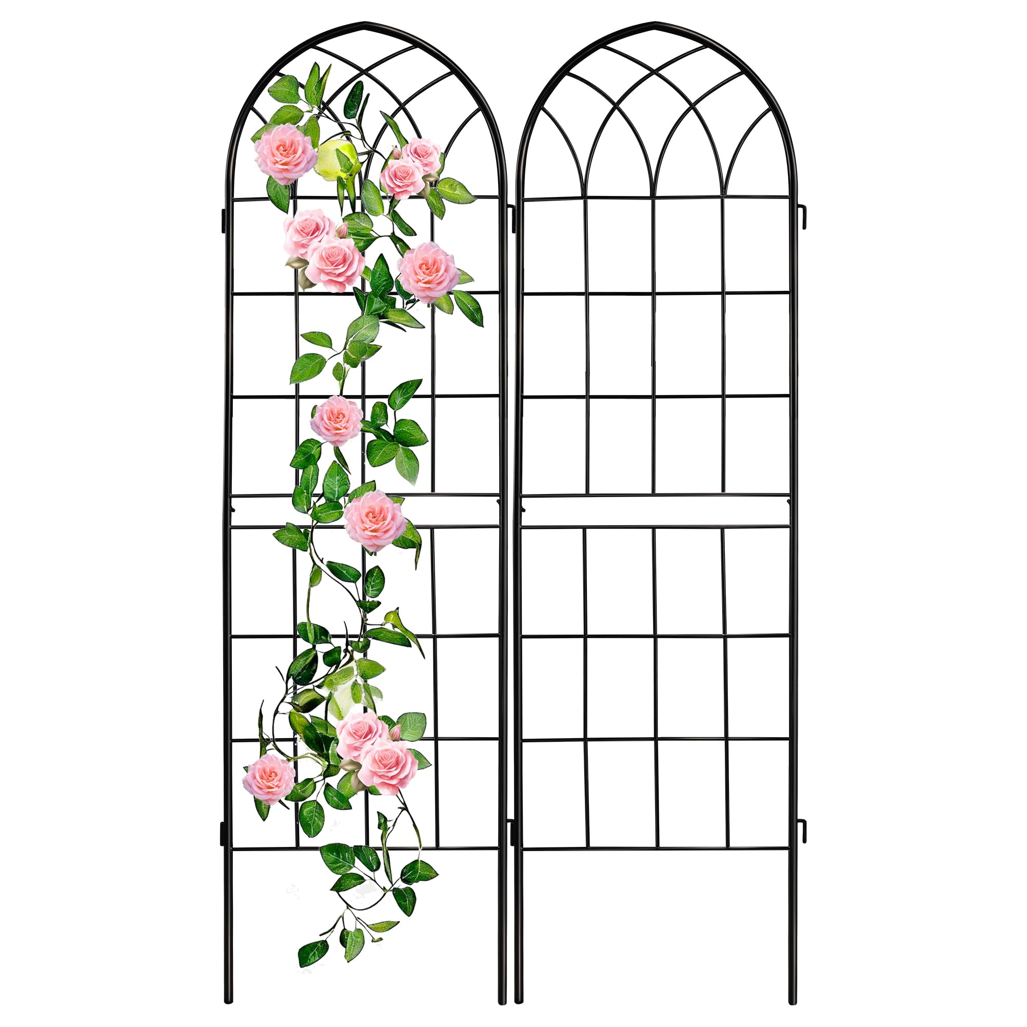 LZRS arco frontal mostrando estructura y soporte decorativo