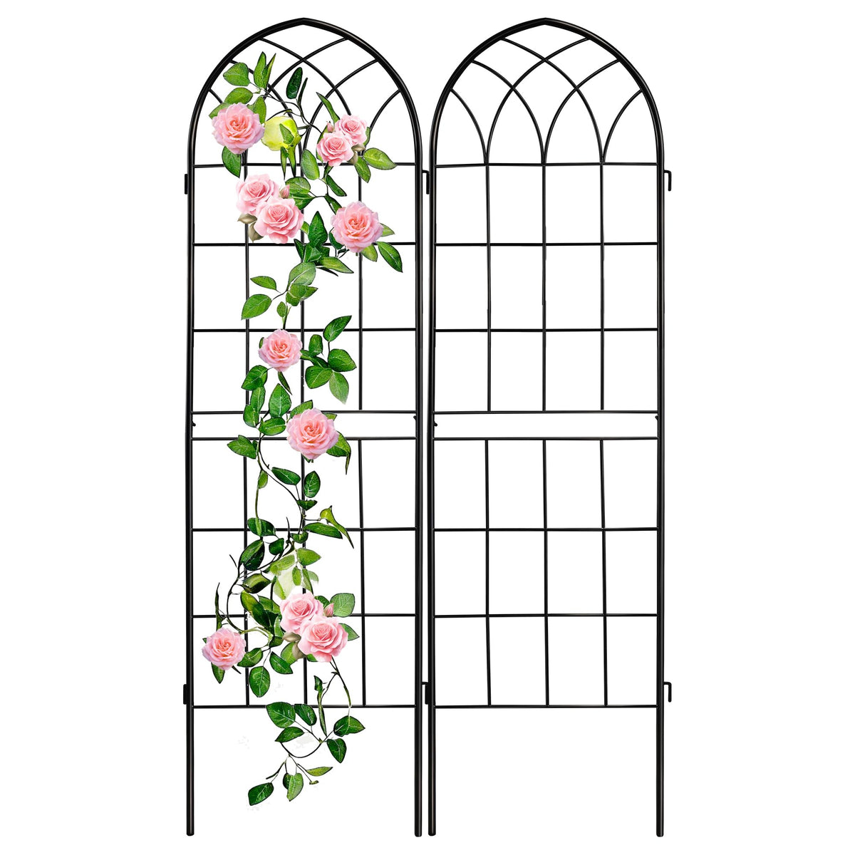 LZRS arco frontal mostrando estructura y soporte decorativo