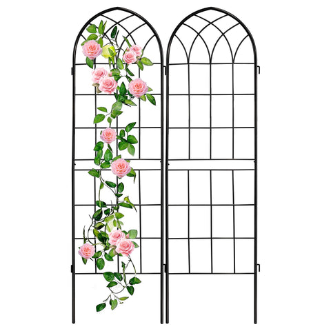 LZRS arco frontal mostrando estructura y soporte decorativo