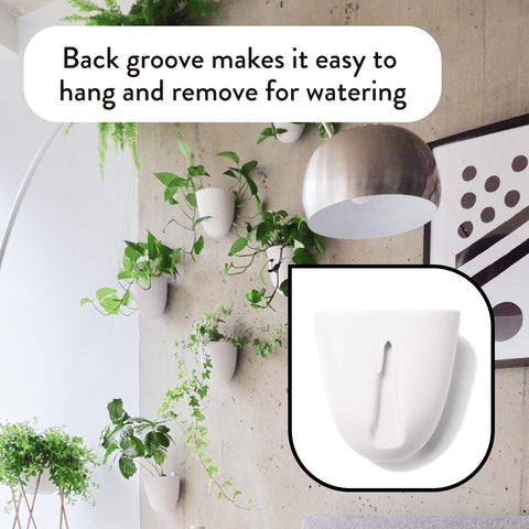 Make Good macetero instalado en cocina con hierbas que optimiza el uso del espacio