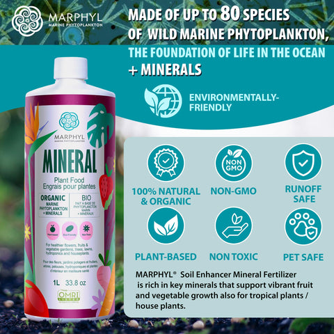 MARPHYL aplicación en maceta mejorando absorción y vigor visible