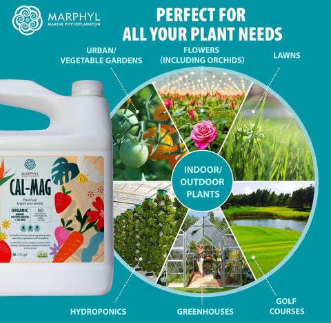 MARPHYL en pulverizador para aplicación foliar con eficacia
