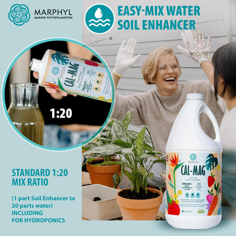 MARPHYL envase junto a macetas y jardín mostrando uso doméstico