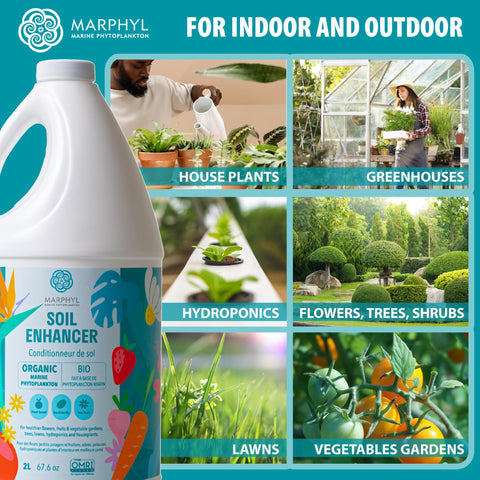 MARPHYL comparación de tamaño del envase para referencia