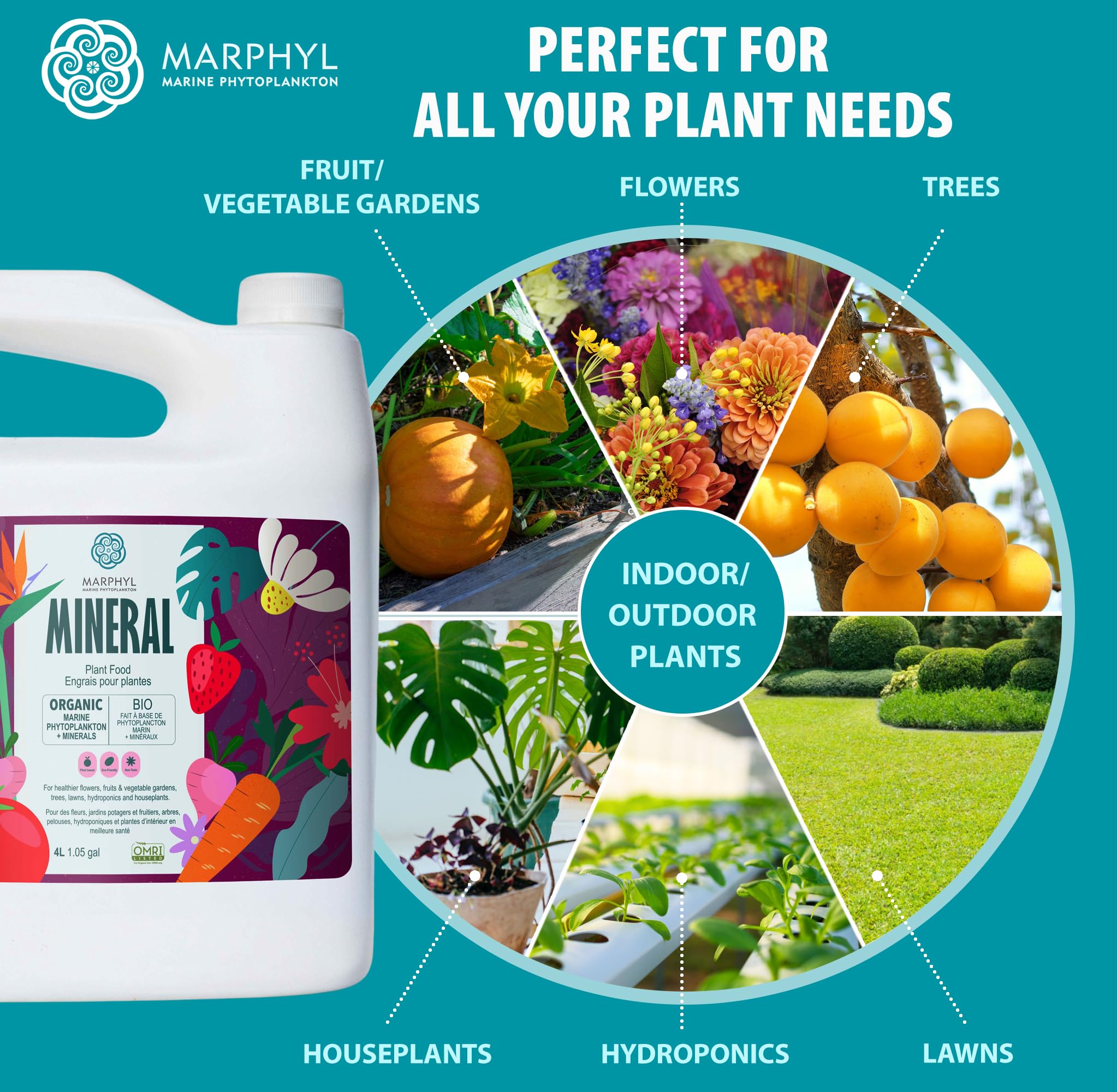 MARPHYL etiqueta informativa con instrucciones y beneficios claros
