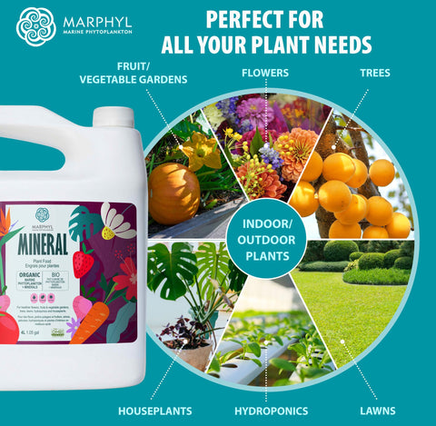 MARPHYL etiqueta informativa con instrucciones y beneficios claros