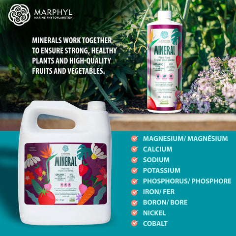 MARPHYL uso en sistema hidropónico optimizando nutrientes en reservorio