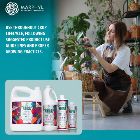 MARPHYL jardín con flores más sanas tras uso del fertilizante