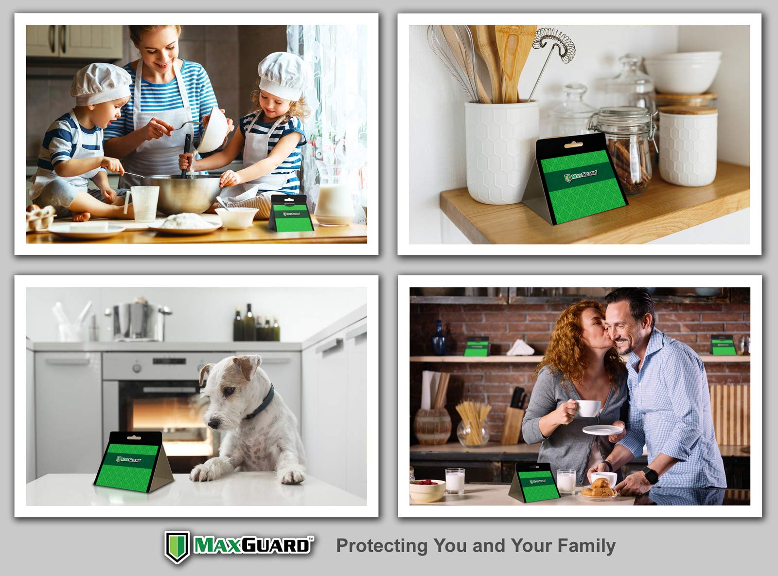 Maxguard caja con 14 trampas selladas listos para usar en la cocina