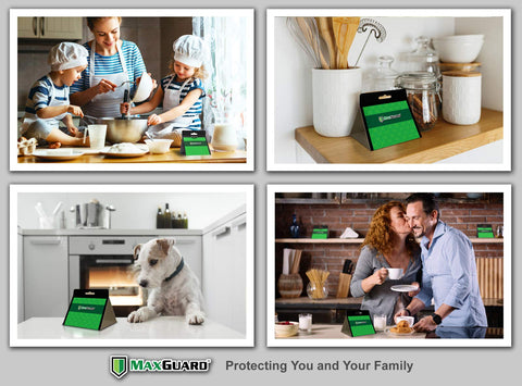 Maxguard caja con 14 trampas selladas listos para usar en la cocina