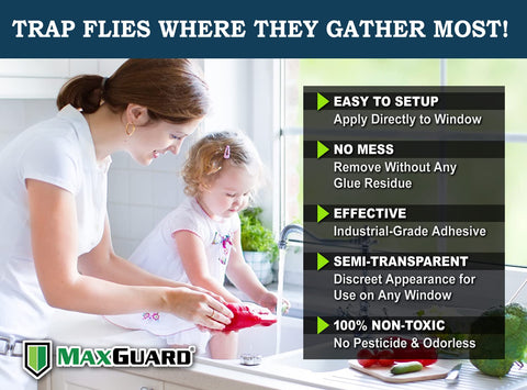 MaxGuard primer plano del adhesivo pegajoso para alta captura