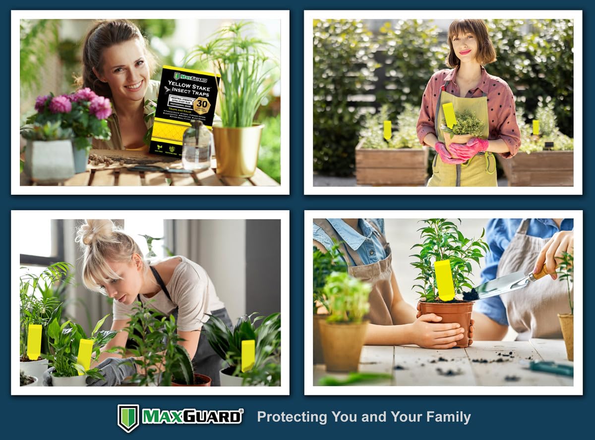 MAXGUARD etiqueta y orificio para colgar con uso versátil