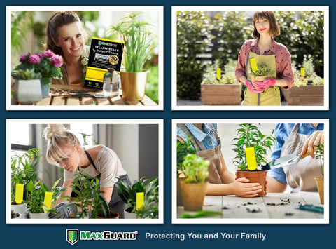 MAXGUARD etiqueta y orificio para colgar con uso versátil