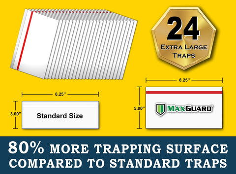 MaxGuard trampa colocada en ventana atrapando insectos eficazmente