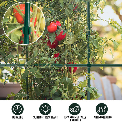MAXPACE accesorios organizados, incluye conectores y cinta de amarre útil