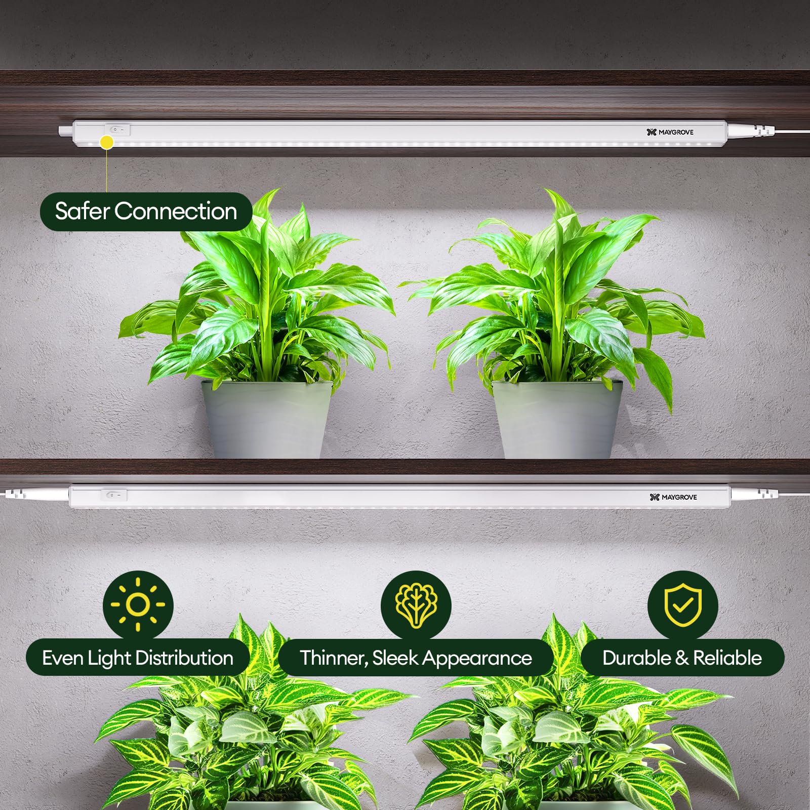 Maygrove primer plano de LEDs que muestra refuerzo en rojos y púrpuras beneficioso