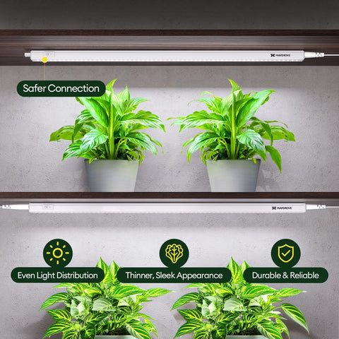 Maygrove primer plano de LEDs que muestra refuerzo en rojos y púrpuras beneficioso