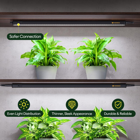 Maygrove detalle del lente óptico que mejora uniformidad lumínica