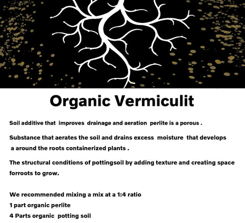 MDPQT vermiculita mezclada en maceta promoviendo drenaje y raíces saludables
