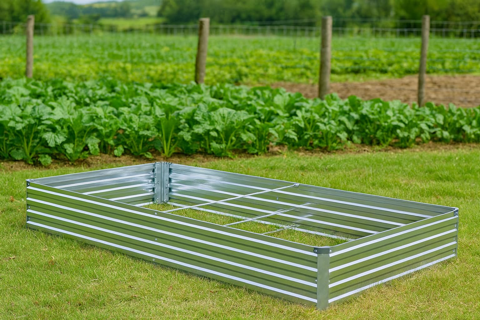 Meberam cama elevada junto a persona para referencia de tamaño