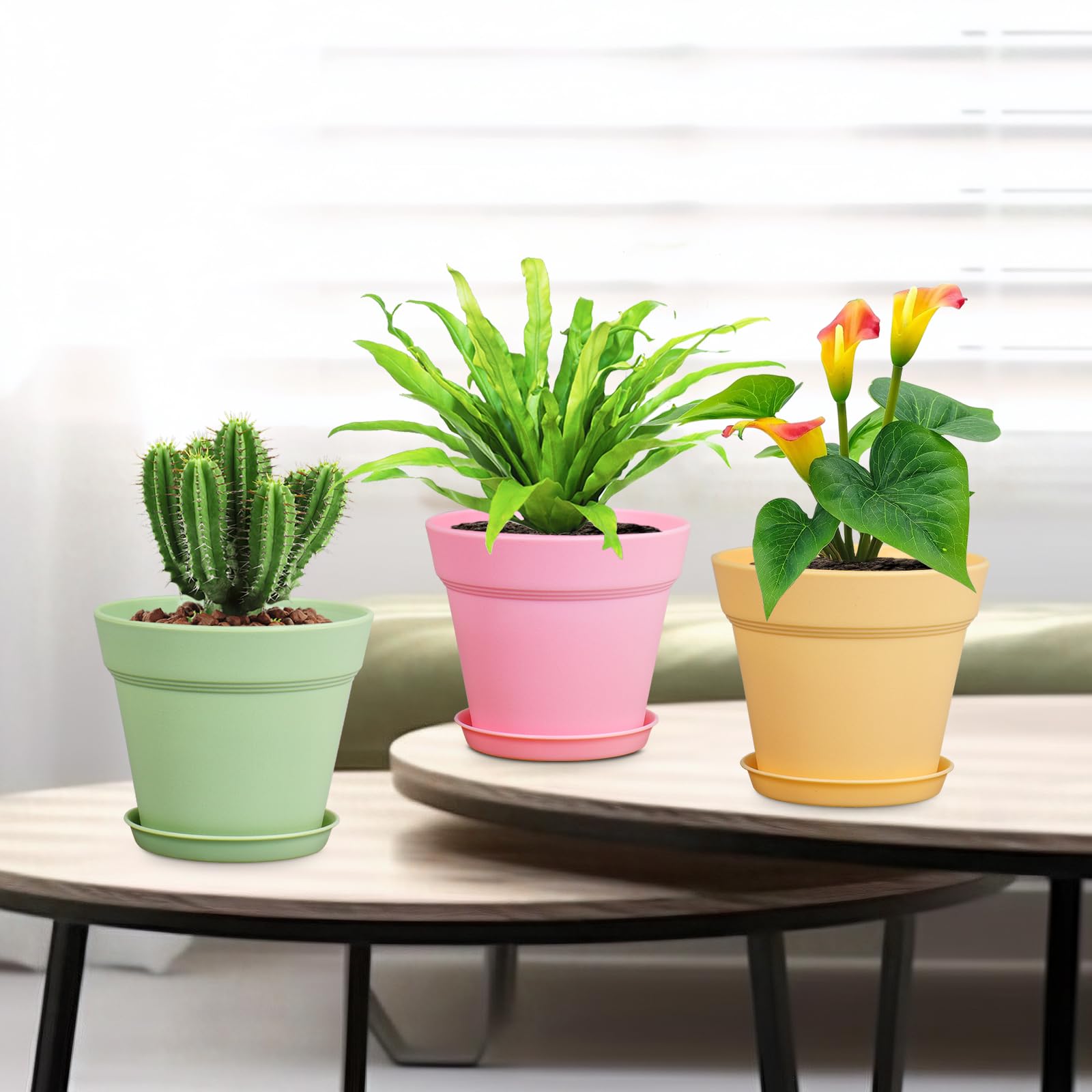 Meowell colección en repisa aporta decoración minimalista y orden
