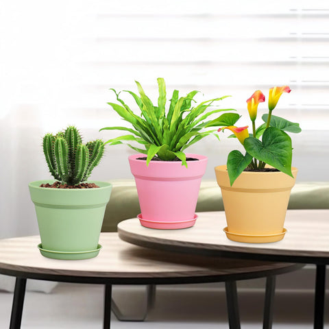 Meowell colección en repisa aporta decoración minimalista y orden