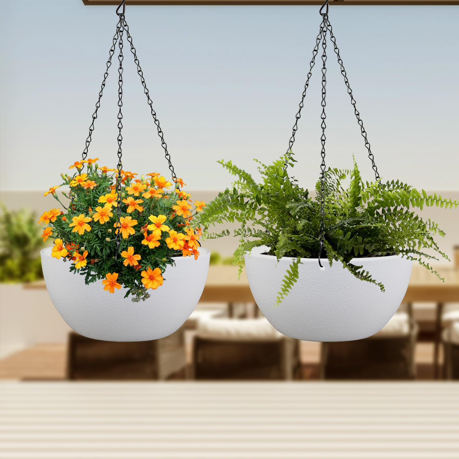 Meowell comparación de escala con manos para dimensionar tamaño