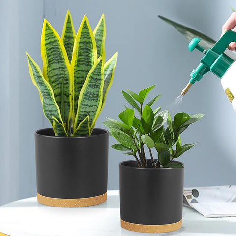 Meowell comparación de tamaños facilita elegir la maceta adecuada para cada planta