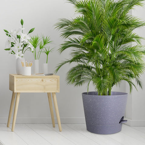Meowell conjunto de macetas decorativas ofrece estilo y riego confiable