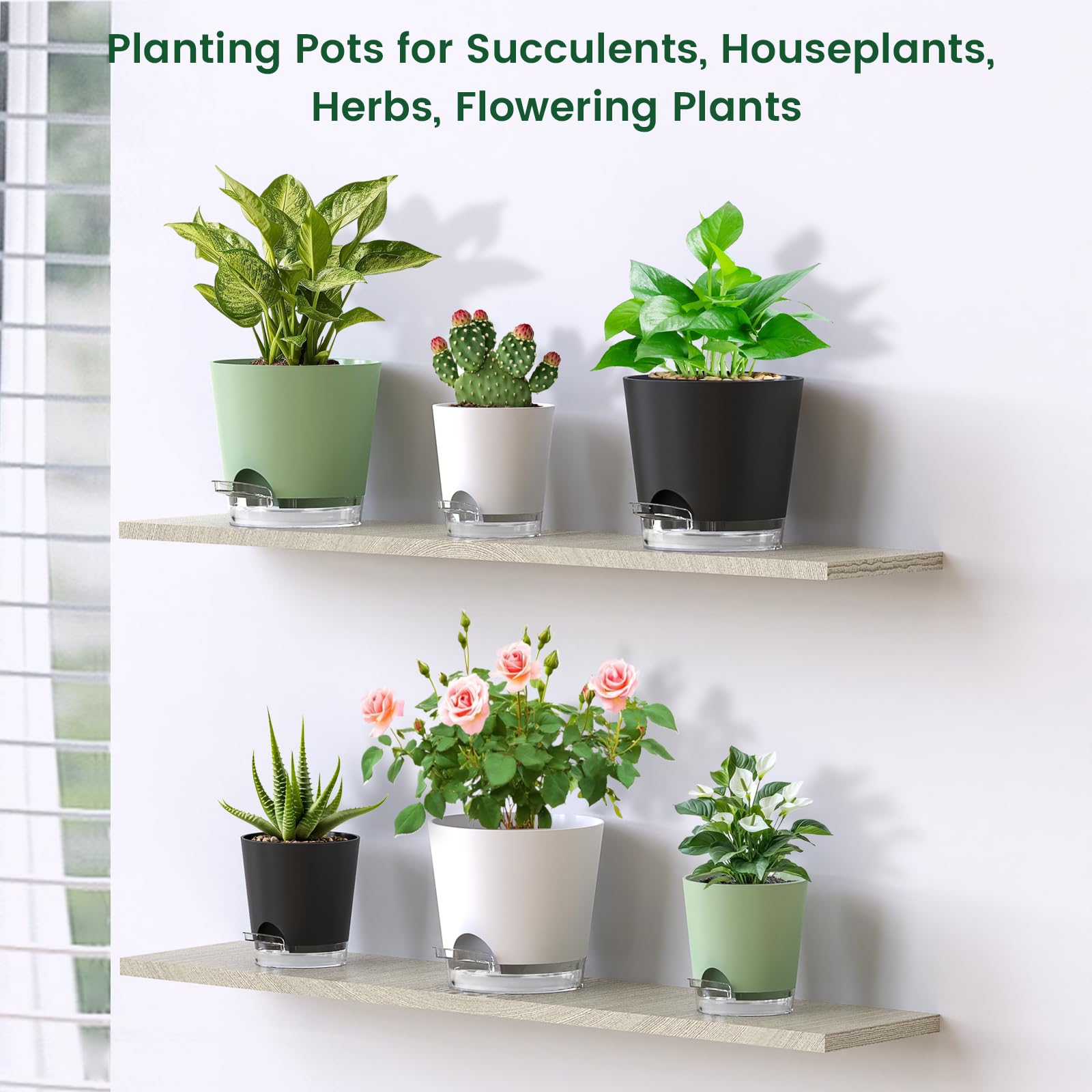 Meowell conjunto decorado en salón que aporta estilo y organización vegetal