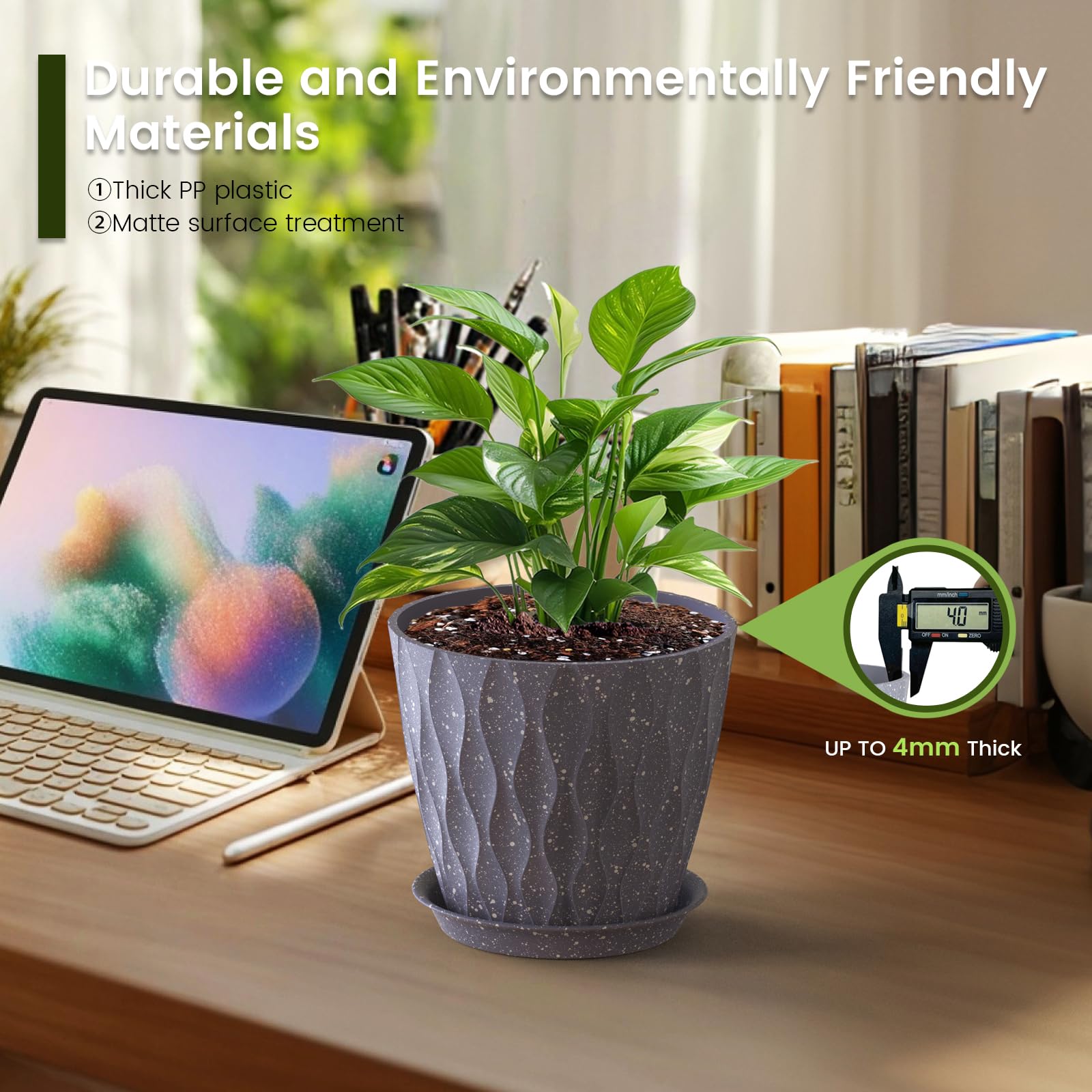 Meowell en alféizar ambientada aportando verde decorativo fácil