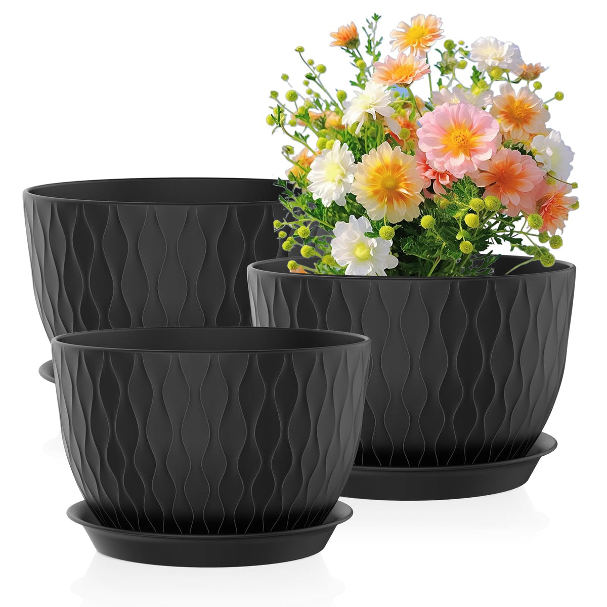 Meowell vista frontal del conjunto negro elegante y resistente