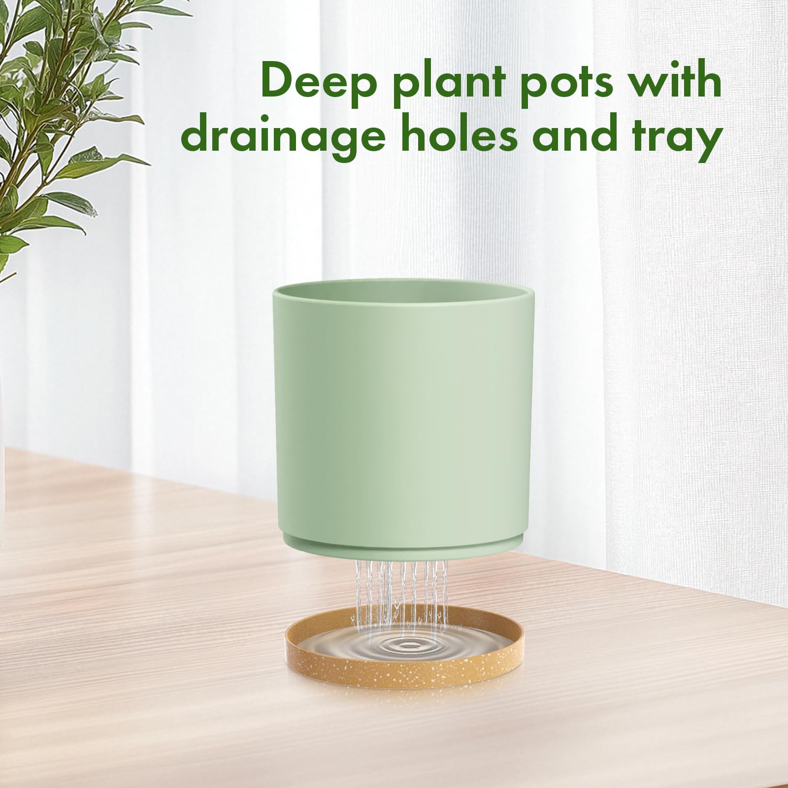 Meowell maceta de 8 pulgadas con planta mostrando versatilidad