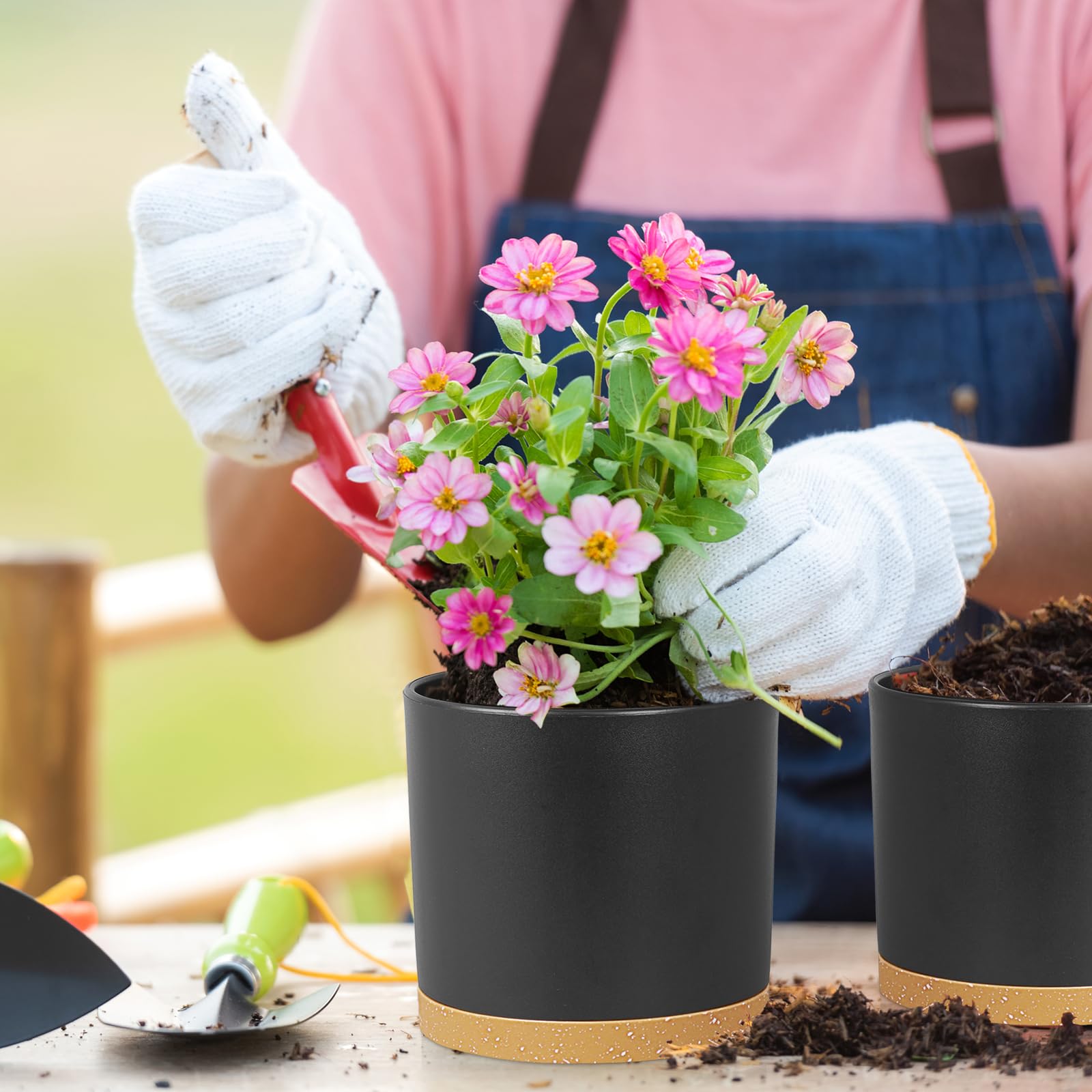 Meowell maceta con planta en interior mejora la decoración y el ambiente