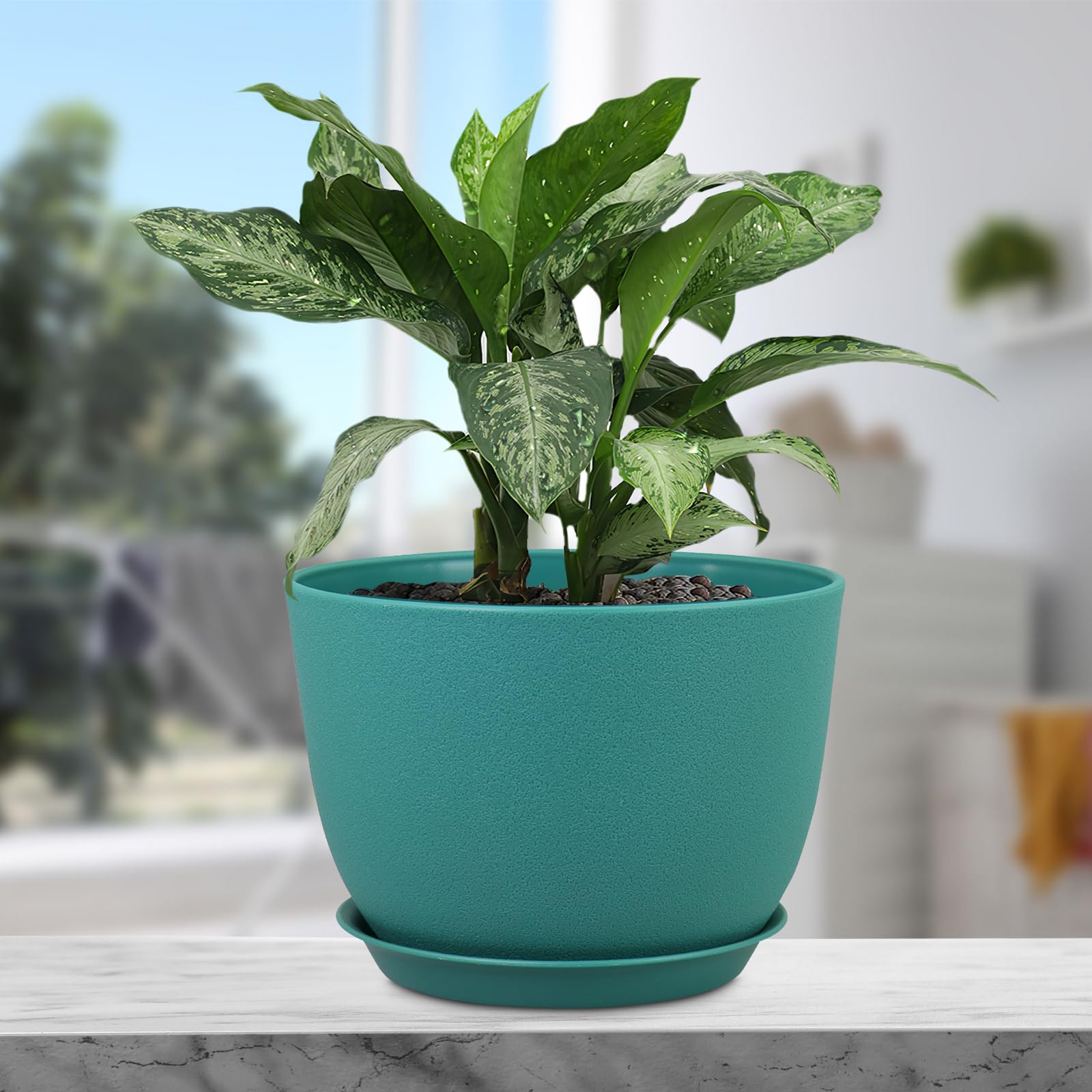 Meowell maceta con monstera demostrando soporte de plantas medianas