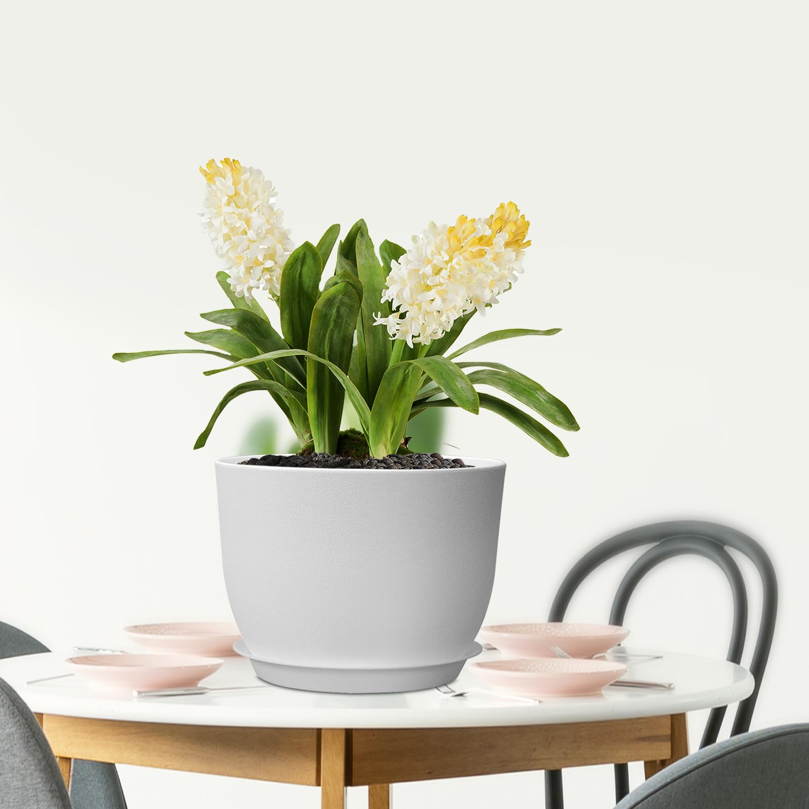 Meowell maceta con planta trasplantada mostrando espacio óptimo para raíces