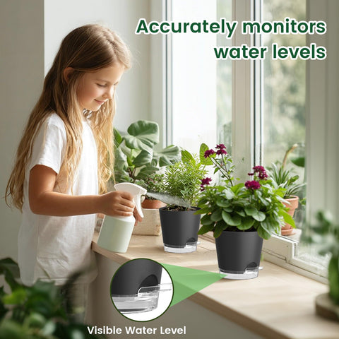 Meowell maceta con suculenta en uso, ideal para interiores y escritorios