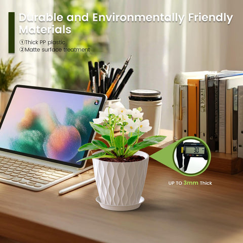 Meowell maceta con suculenta en uso optimizando espacio y estética interior