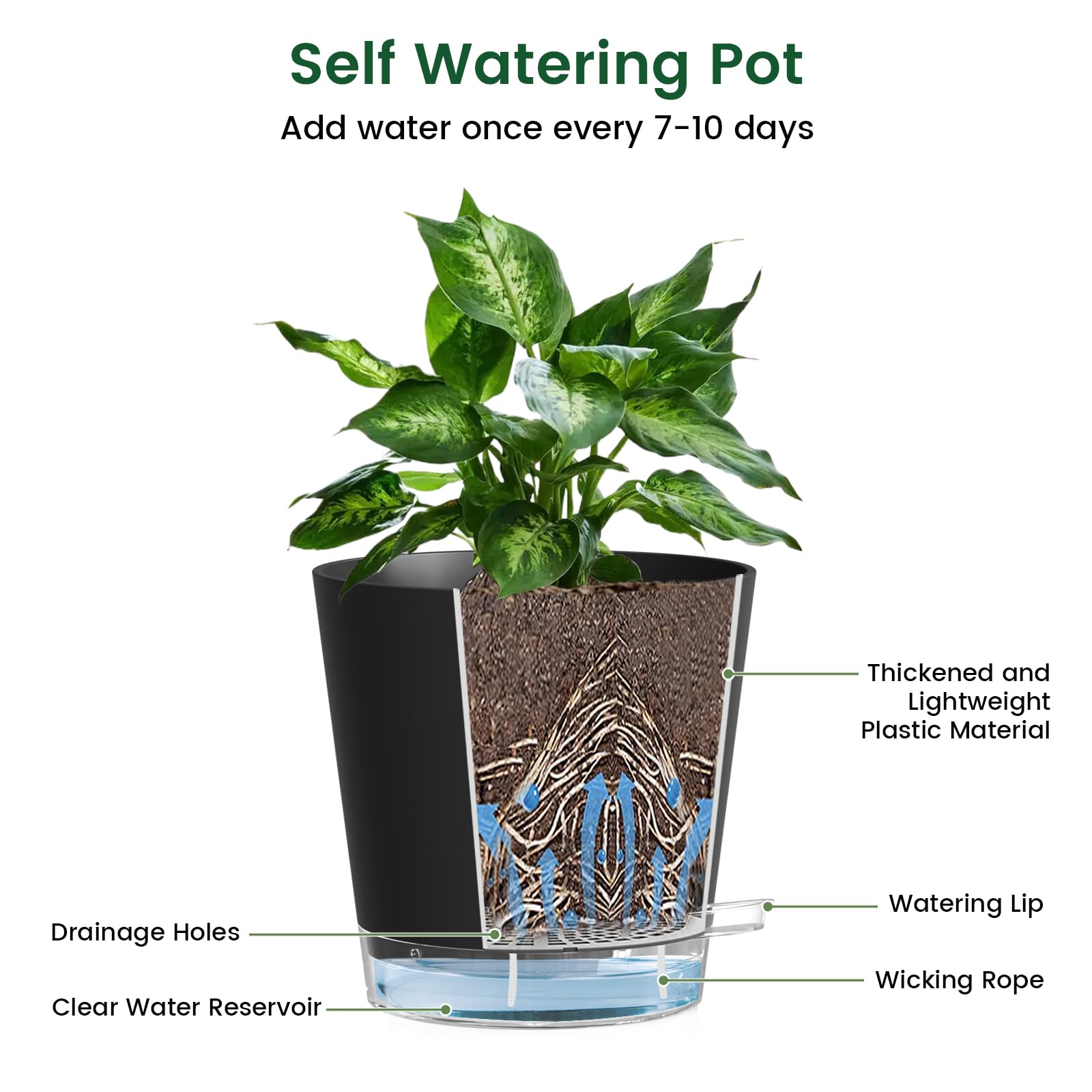 Meowell maceta en uso interior con planta luciendo saludable