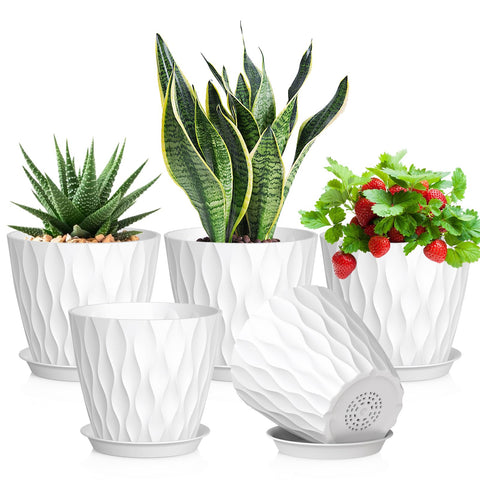 Meowell maceta frontal pack 5, diseño elegante y funcional